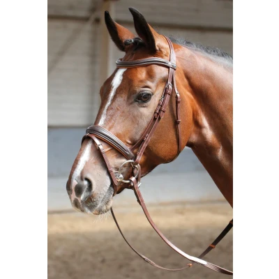 Image de Harry&#039;s Horse Bridon souple Pony Marron
