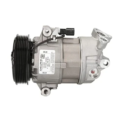 Image de DELPHI TSP0155830 compresseur De Climatisation 5CVC PAG 46 avec huile RENAULT: CLIO 3, MEGANE 2, 2 Coupe Cabriolet