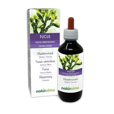 Image de Fucus vésiculeux ou Chêne marin (Fucus vesiculosus) thalle (algue) Teinture Mère sans alcool Naturalma Extrait liquide gouttes 200 ml Complément alimentaire Végétalien végan