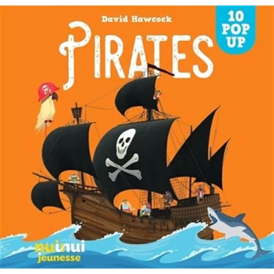Image de Saisissants pop up pirates Livre d’occasion Correct