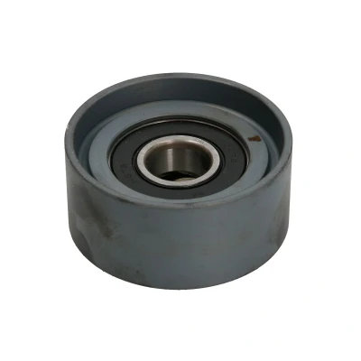 Image de DAYCO APV2403 Galet Enrouleur