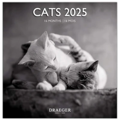 Image de DRAEGER PARIS Grand Calendrier Mural 29x29 cm 2025 7 langues Septembre 2024 à décembre 12 photographies disponible dans plusieurs thèmes Chats noir et blanc Note rendez vous