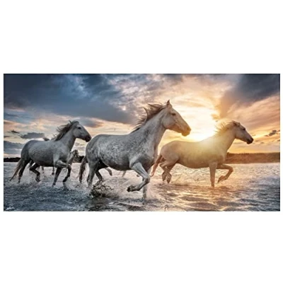 Image de Theonoi Serviette de bain pour enfant plage douche 100 % coton 70 x 140 cm Motif cheval