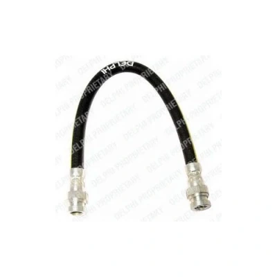 Image de DELPHI LH0443 Flexible De Frein 311mm M10x1 Int DF