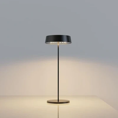 Image de Palmina 901, Led Lampe De Bureau Sans Fil 4400mah, Rechargeable Usb 4400 Mah, Pour Usage Intérieur/Extérieur Adaptée Dîner, Lecture, Chambre, Jardin Et Bien Plus Encore/Brun
