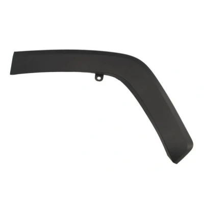 Image de BLIC 5703 04 8186593P Baguette et bande protectrice, aile arrière gauche TOYOTA: RAV4 V