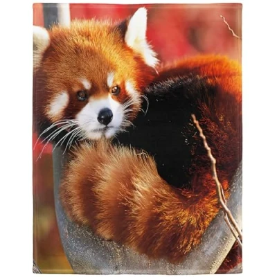 Image de Yisumei Couverture douce en flanelle Motif Panda Rouge, Polyester, Blanc., 150x200 cm