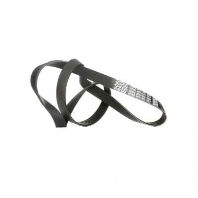 Image de DAYCO 6PK1320 Courroie Poly V 1320,0 6 SUZUKI: SWIFT 3, 4, IGNIS 2, FIAT: Grande Punto 3/5 portes, Evo III portes