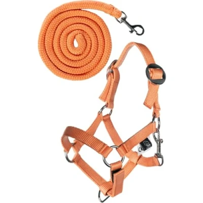Image de HKM Halster setEnsemble Licol Hobby Horsing Orange