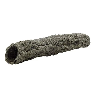 Image de Dragon Cortues naturelles pour décoration de terrarium (30 50 cm longueur)