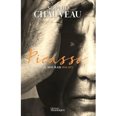Image de Picasso tome 2 (2) Livre d’occasion Correct