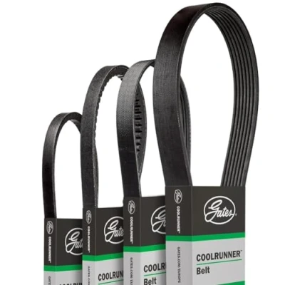 Image de GATES CB0005 Courroie Poly V 1715 7 Polyester, EPDM (éthylène propylène diène caoutchouc)
