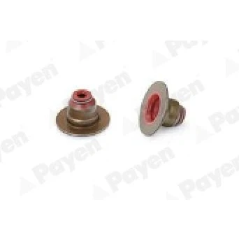 Image de PAYEN PA6135 Joint De Queue Soupape 9mm CITROËN: C3 III, C4 II 5 portes, II, PEUGEOT: 208 I 3/5 308 2008 Break