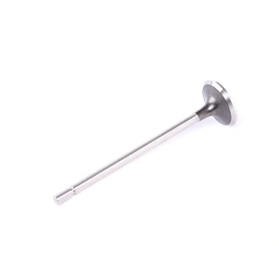 Image de FRECCIA R6030/R Soupape d&#039;Échappement 28 RENAULT: CLIO 2, MEGANE 3 Coupe, 3, DACIA: Sandero I, Duster SUV, Logan I MCV