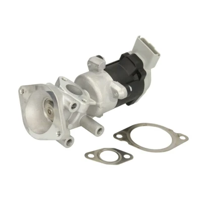 Image de Vanne EGR DELPHI EG10640 12B1