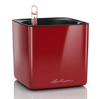 Image de Lechuza Pot de Fleurs d&#039;Interieur Cube Glossy Réserve d&#039;Eau Intégrée Coloris Rouge Scarlet 14 x cm