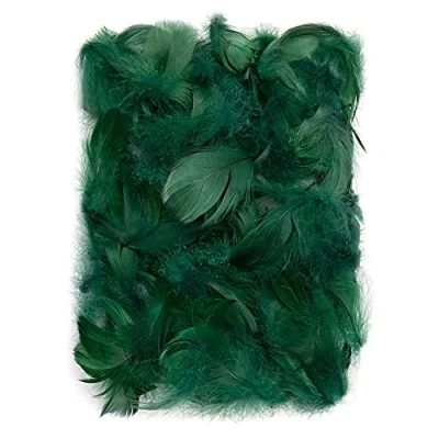 Image de Netuno 150 Plumes décoratives Vertes foncées 10g duveteuses d&#039;oiseaux Naturelles pour Loisirs créatifs DIY Bricolage décorations de fêtes Attrape rêves Fabrication Masques