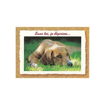 Image de Carte Message Chien Sans Toi, Je Déprime ...
