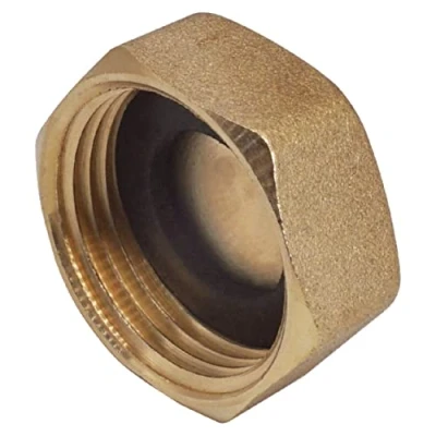 Image de SKIR&#039;CO Lot de 2 Bouchons Laiton Femelle 3/4&quot; avec Rondelles, Bouchon d&#039;obturation, Tuyau, Filetage BSP Femelle, Capuchon Hexagonal