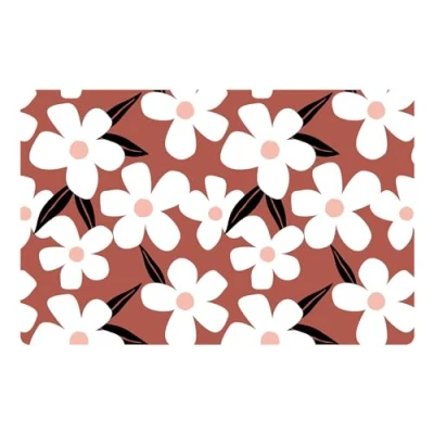 Image de douceur d&#039;intérieur, Set de Table (28,5 x 44 cm) Darcy Terracotta, Polypropylène Opaque