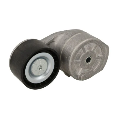 Image de SKF VKMCV 56011 Poulie Tendeur