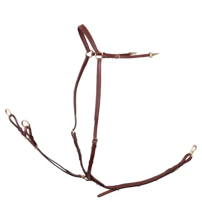 Image de BR Véhicule Rayleigh Élastique Full Tobacco