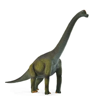 Image de Collecta COL88121 Deqube Brachiosaurus Dinosaures et créatures préhistoriques, COL88121, Multicolore