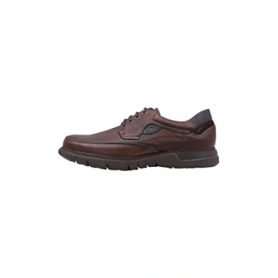 Image de Fluchos F0248 Grass LIBANO + COM.2 Celtic (43)