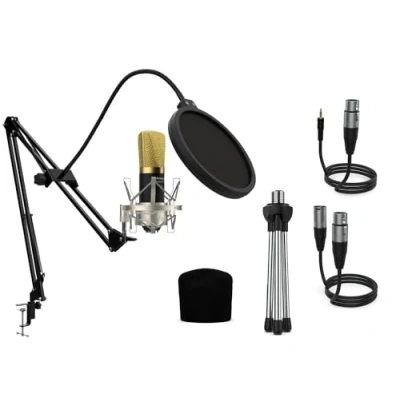 Image de Audibax Berlin 1800 Gold Pro Microphone de Condesandor Étude Inclut Le Support, Anti Pop Fil et Une Réponse en Fréquence 20 Hz/20 KHz directivité Cardioïde, Couleur Or