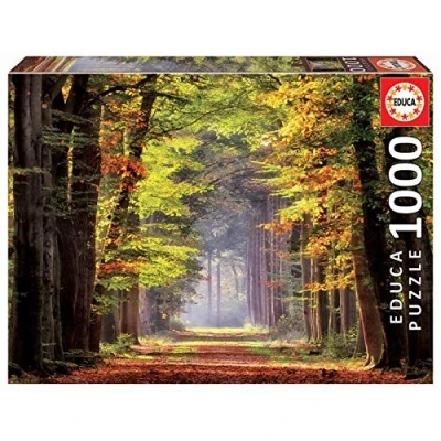 Image de Educa Puzzle de 1000 pièces pour Adultes Promenade Automnale. Comprend Fix Tail l&#039;accrocher Une Fois l&#039;assemblage terminé. À partir 14 Ans (19021)