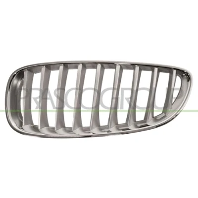 Image de Grille de radiateur BLIC 6502 07 0089997P Gauche