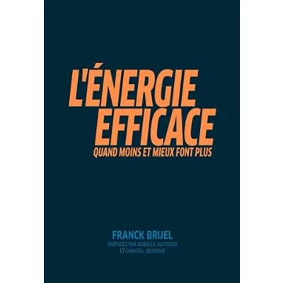Image de L&#039;Energie efficace : Quand moins et mieux font plus. Préfaces par Isabelle Autissier Chantal Jouanno Livre d’occasion Bon