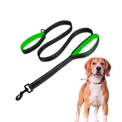 Image de Edipets, Grande Sangle pour Chien avec Double poignée rembourrée, réfléchissante, 1,8 m, antidérapante, Chiens Moyens et grands (Bleu/Vert)