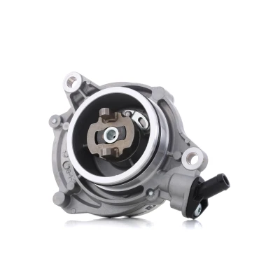 Image de PIERBURG 7.28176.07.0 Pompe à Vide avec bague d&#039;étanchéité BMW: 3 Berline, 5 X5
