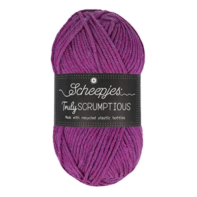 Image de Scheepjes Truly Scrumptious 376 Açaí Bol Fil 1x100g