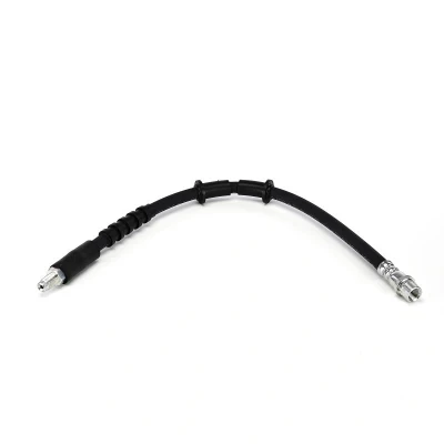 Image de DELPHI LH7963 Flexible De Frein 443mm M10x1 120 SF