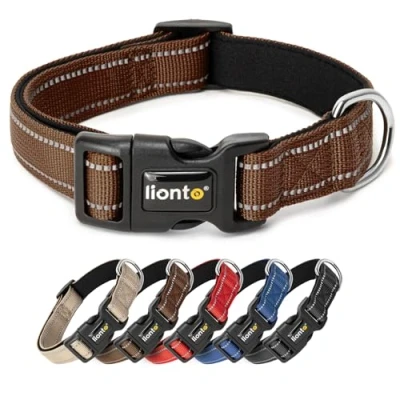 Image de lionto Collier pour Chien rembourré en Nylon réfléchissant imperméable réglable, Taille M, Marron
