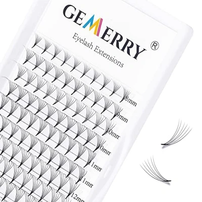 Image de 6D Extension Cils Volume Russe, 0.07mm D curl 8 14mm Mix Soie Naturel Premade Professionnel Individuels By GEMERRY (0.07 mix)