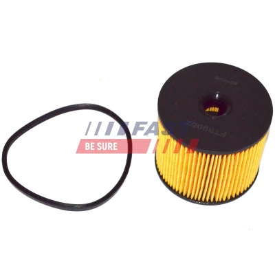 Image de FAST FT39072 Filtre à Carburant de conduite 8 RENAULT: CLIO 2, 3, MEGANE PEUGEOT: 206 3/5 portes, 207 208 I portes