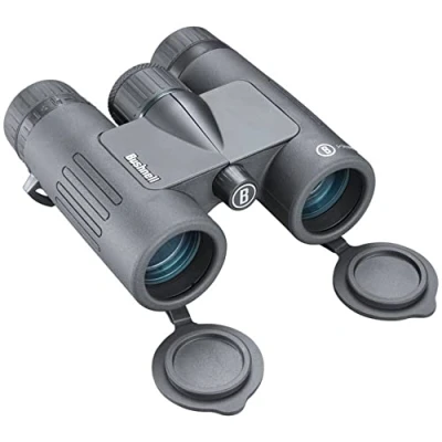 Image de Prisme de Toit Noir FMC, WP/FP, 8 x 32, boîte 6 L