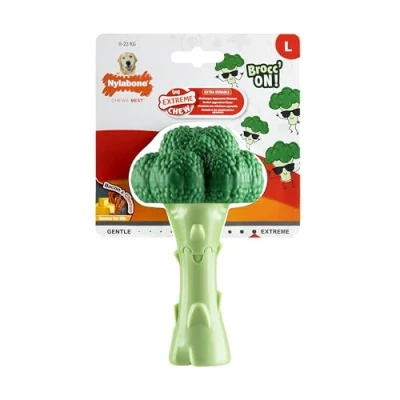 Image de Nylabone Extreme Chewers Jouet à mâcher Brocoli en Nylon résistant pour Chien de 0 23 kg