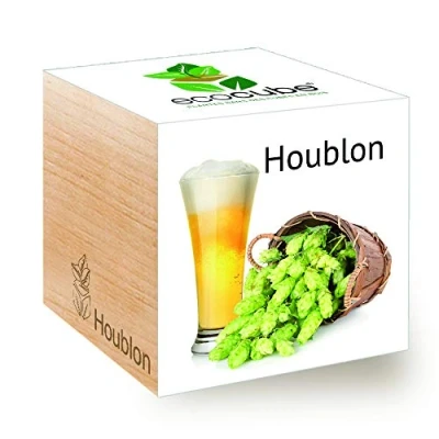 Image de Feel Green Ecocube Houblon, Idée Cadeau (100% Ecologique), Grow Your Own/Kit Prêt à Pousser, Plantes Dans Des Cubes En Bois 7.5cm, Produit Autriche