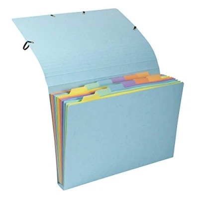 Image de Exacompta Réf. 58560E 1 pochette trieur Aquarel en carte multicolore pastel 12 compartiments fermeture par élastiques format 34x24,5cm pour documents A4 couleurs aléatoires
