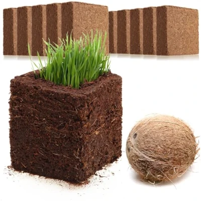 Image de com four® 10x Terre de Culture Noix Coco tranches gonflées biodégradables briquettes gonflantes sans Tourbe à Base Fibre pressée pour 10 litres terreau