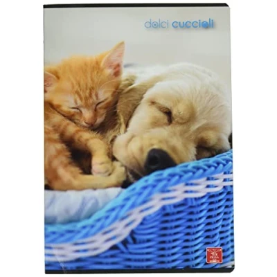 Image de Pigna MAXI 02307690A Lot de 10 cahiers A4 Motif chiots mignons à rayures Première/deuxième année