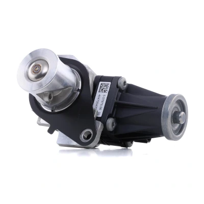 Image de PIERBURG 7.05320.04.0 Vanne EGR électrique Soupape de commande avec joint d&#039;étanchéite RENAULT: SCENIC 3, Clio 4, Kangoo II Express, DACIA: Duster SUV