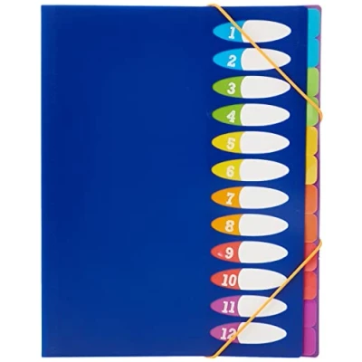 Image de VIQUEL Trieur Happy Fluo 12 touches, dos soufflets Format A4. Coloris Bleu