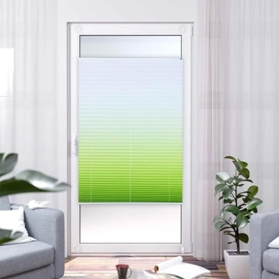 Image de K home Store plissé Klemmfix dégradé de Couleur Vert 40 cm x 210 (l L)
