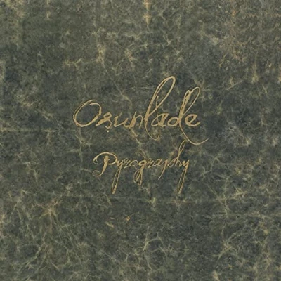 Image de Pyrography/with 32 Page Deluxe Art Book
