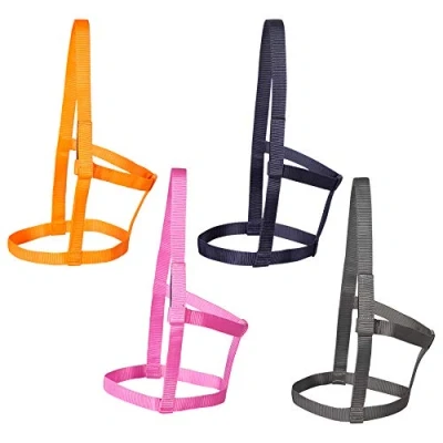Image de PFIFF Joky 102920 Licol en Saule sans ferrures Nylon Orange Shetty